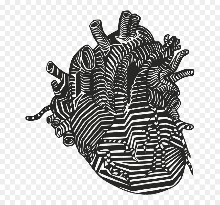 Tell Tale Heart Clipart, HD Png Download - white heart outline png