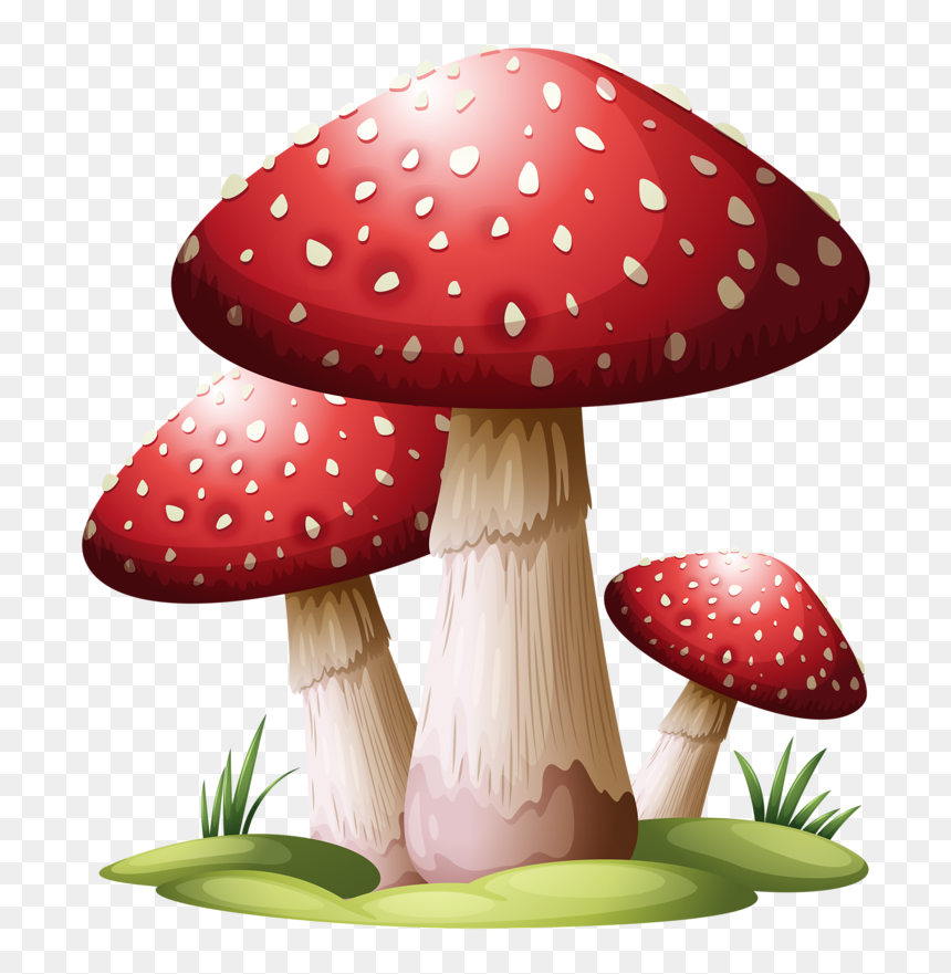 Red Mushroom Drawing, HD Png Download - setas png