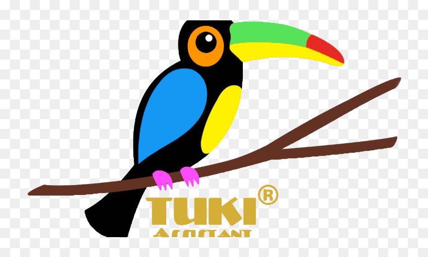 Toucan, HD Png Download - oman flag png