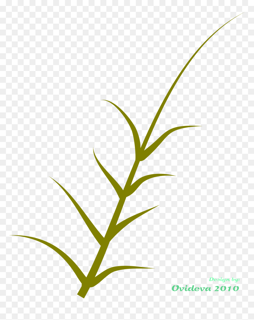 Grass Clipart , Png Download - Clip Art, Transparent Png - grass plant png