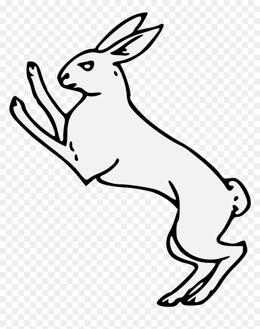 Rabbit, HD Png Download - rabbits png