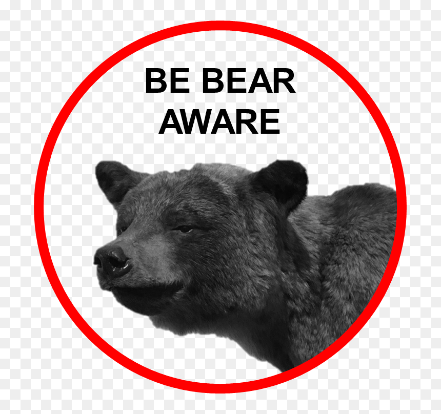 Polar Bear Exhibited At The University Of Alaska Museum - Move Forward Or Backward, HD Png Download - leonardo dicaprio walking png