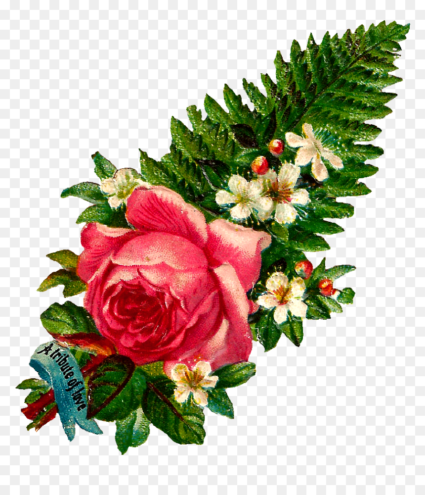 Cabbage Rose Cottage Logo, HD Png Download - fern leaf png
