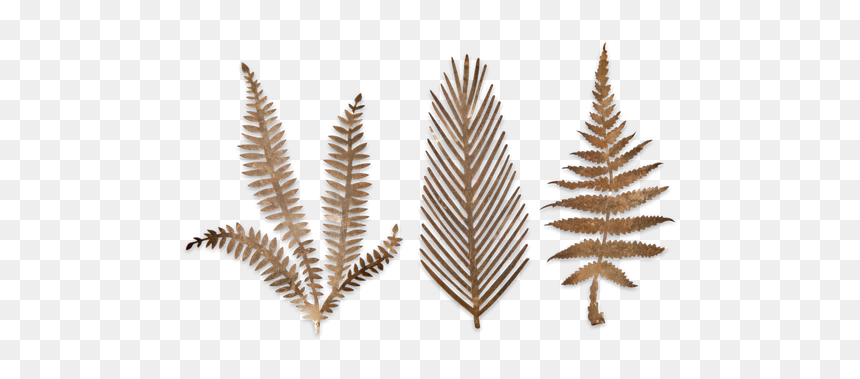 3 Gold Brass Cutout Metal Kiko Fern Leaves Botanical - Nkuku, HD Png Download - fern leaf png