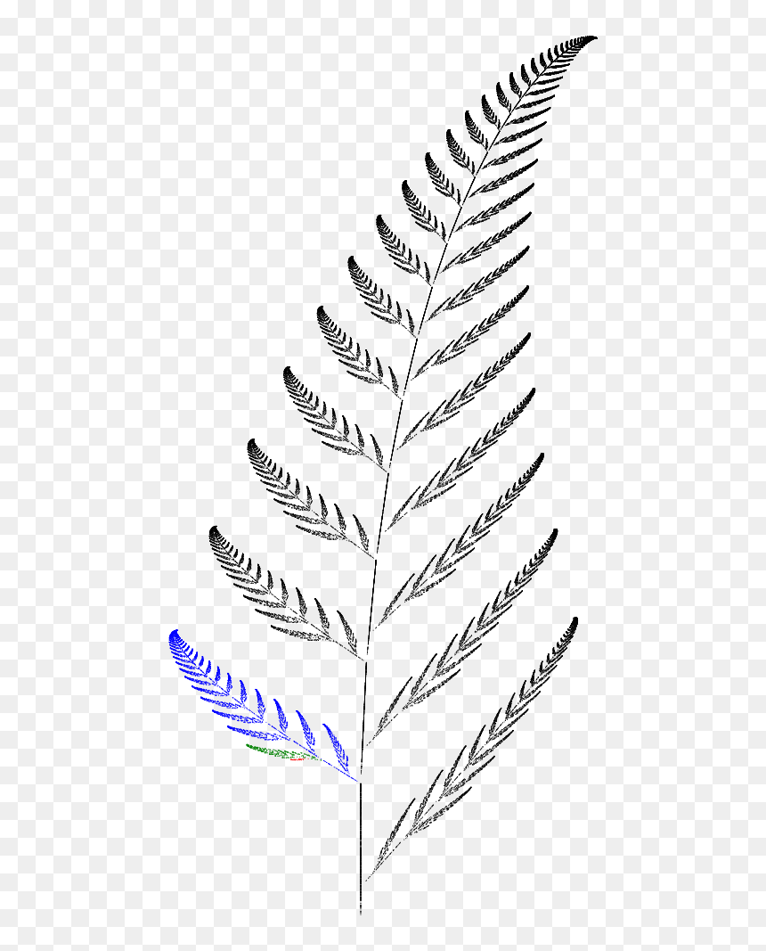 Barnsley Fern Funktion3 - Barnsley Kapradi, HD Png Download - fern leaf png