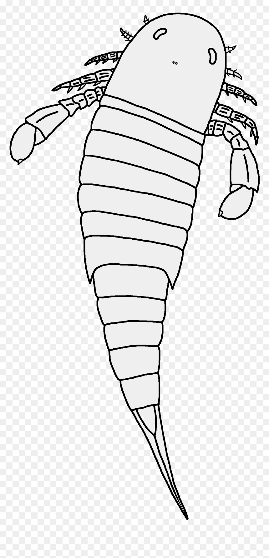 Nanahughmilleria Norvegica Restoration - Line Art, HD Png Download - nana png