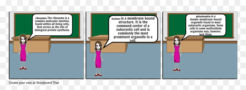 Story Board Perkenalam Diri, HD Png Download - plant cell png