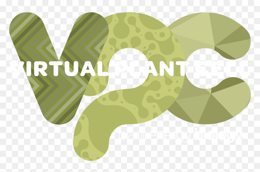 Clip Art, HD Png Download - plant cell png
