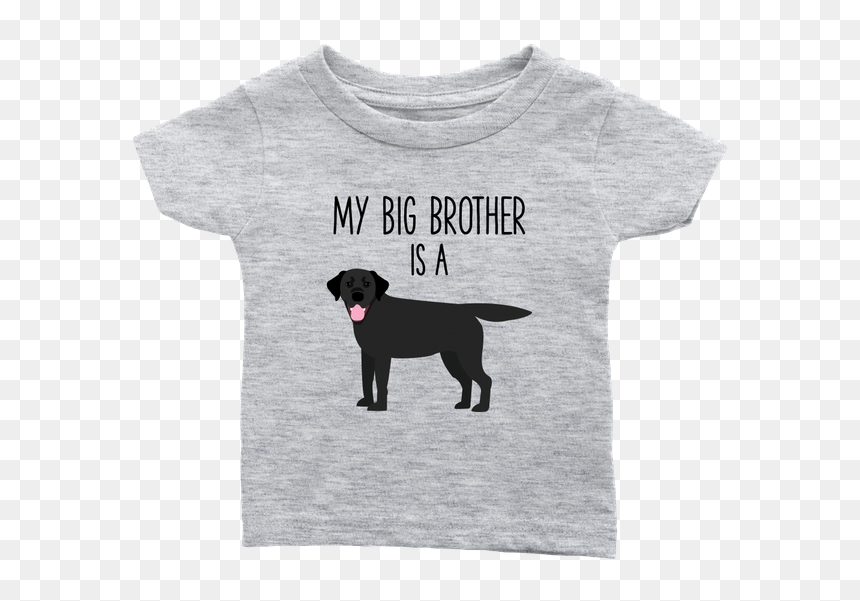 My Big Brother Is A Black Labrador Retriever Baby T - T-shirt, HD Png Download - black lab png