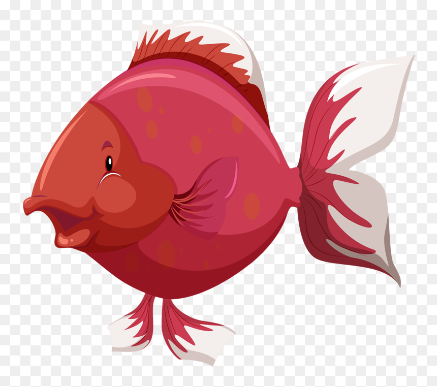 Red Fish Png - Body Part Of Fish, Transparent Png - fish clip art png