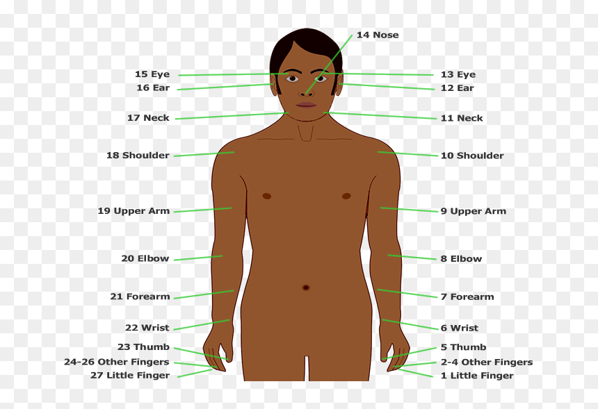 People Body, HD Png Download - allison argent png