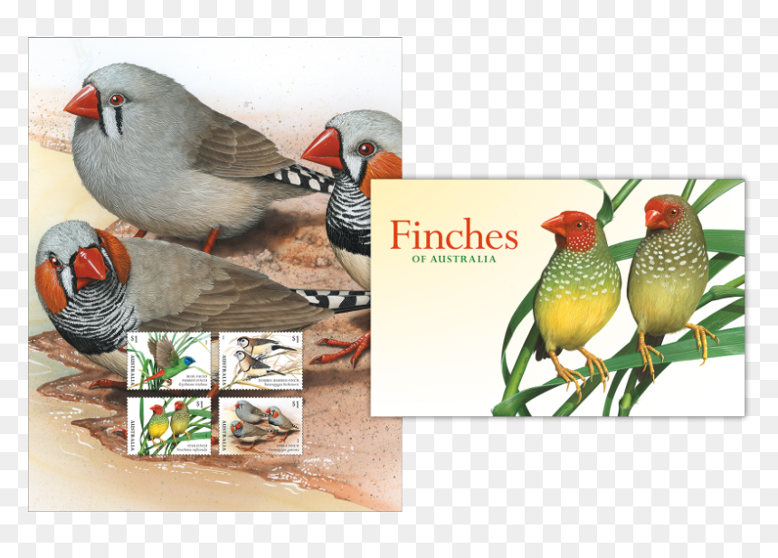 Stamp Pack Stamp Pack - Australia Post Stamps 2018, HD Png Download - blank stamp png