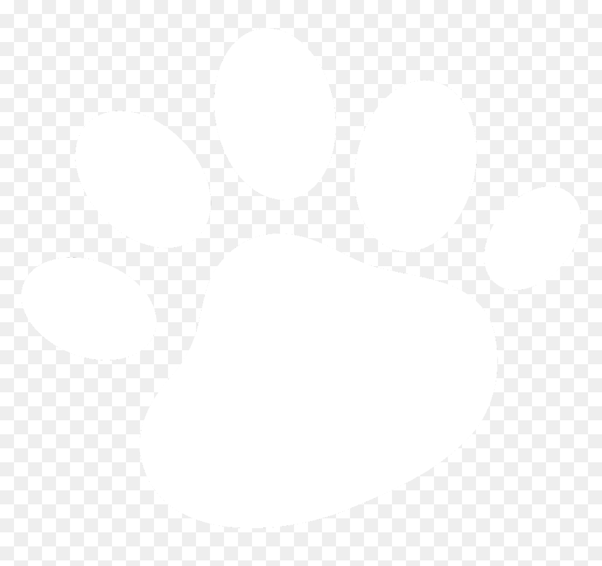 #paw #paws #pb #pfote #background #white #sticker #freetoedit - Circle, HD Png Download - white paw png