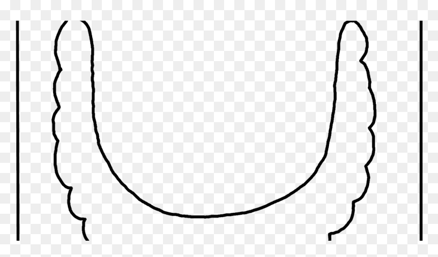 Line Art- - Line Art, HD Png Download - leprechaun beard png