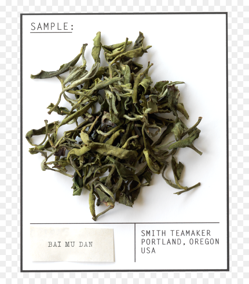White Tea, HD Png Download - white petals png