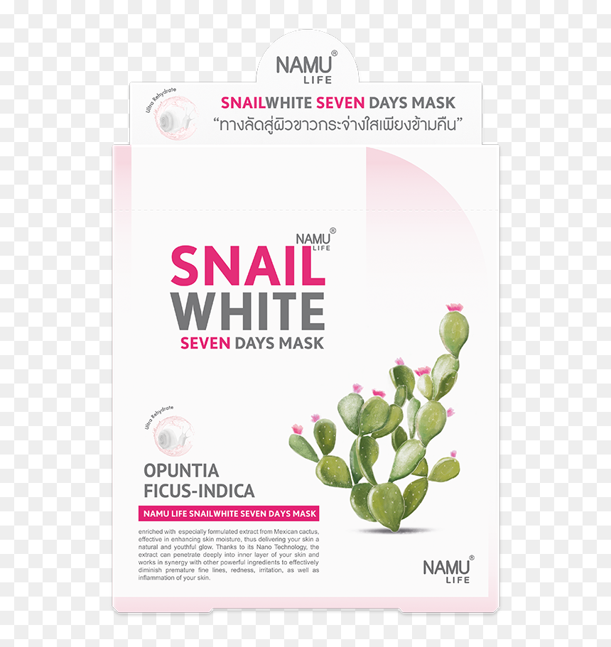 Snail White Snail White 7 Days Mask, HD Png Download - mexican cactus png