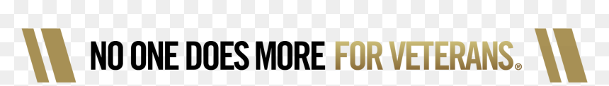 Graphics, HD Png Download - vfw logo png