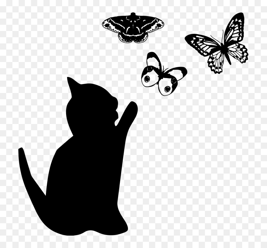 Transparent Cat Silhouette Png - Butterfly, Png Download - black cat silhouette png