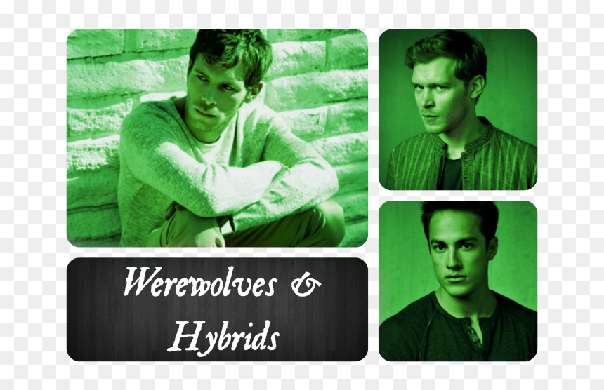 Photo Wewwolves Zpse42b3439 - Joseph Morgan Na Praia, HD Png Download - stephen amell png