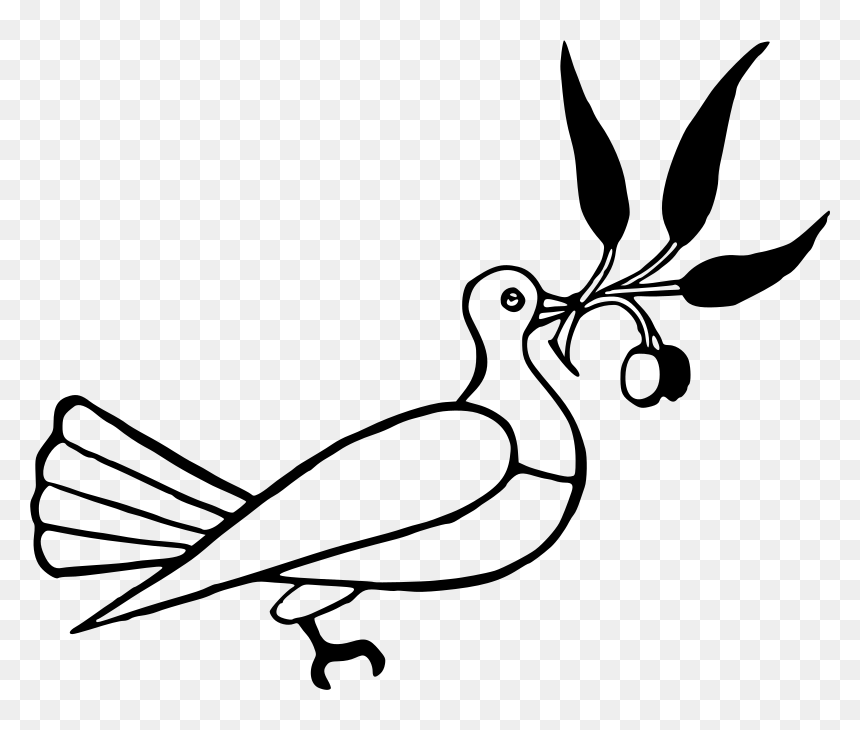 Dove With Olive Branch - Elements Of Form Drawing, HD Png Download - dove with olive branch png