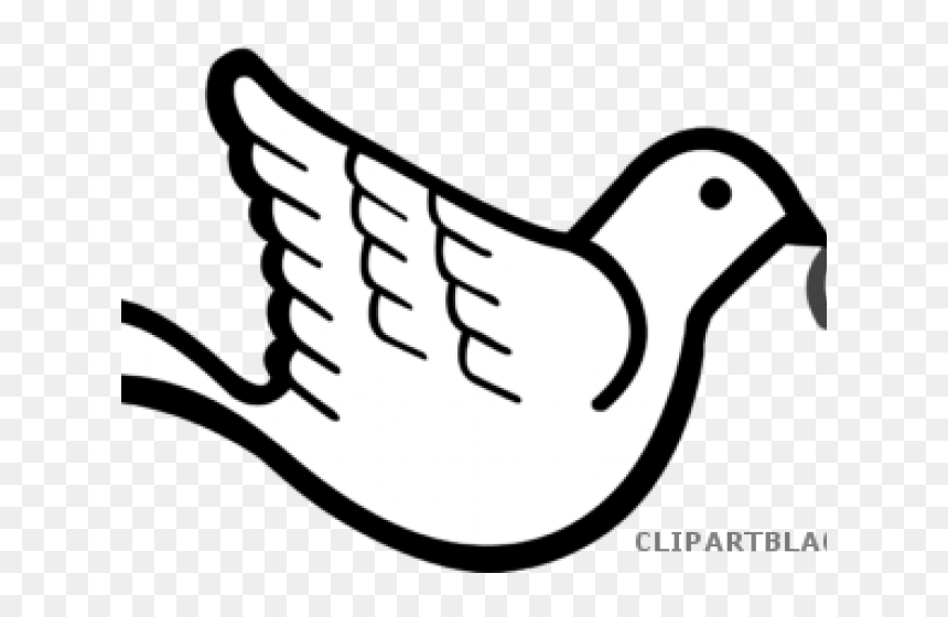Dove With Olive Branch Clipart , Png Download - Cartoon Transparent Dove Png, Png Download - dove with olive branch png