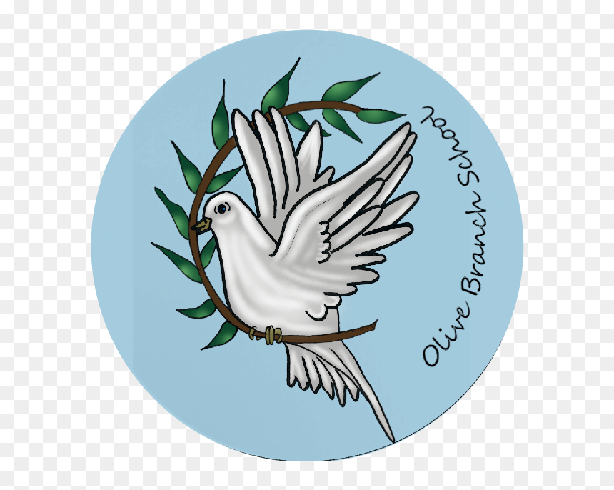 Olive Branch School - Montessori Education, HD Png Download - dove with olive branch png