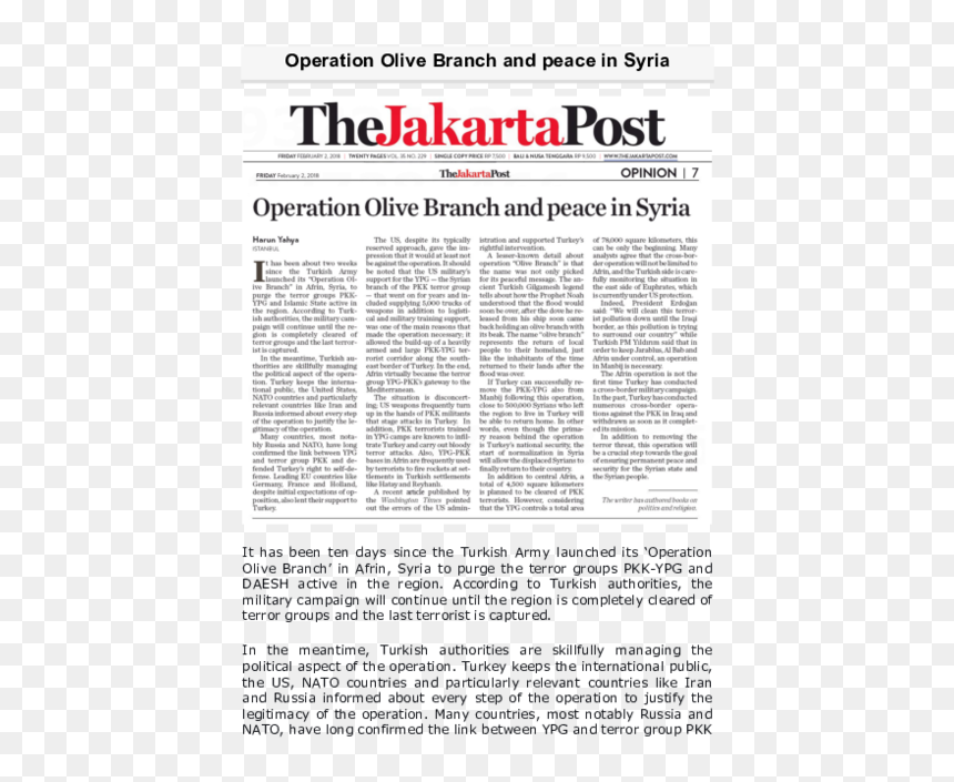 Document, HD Png Download - dove with olive branch png