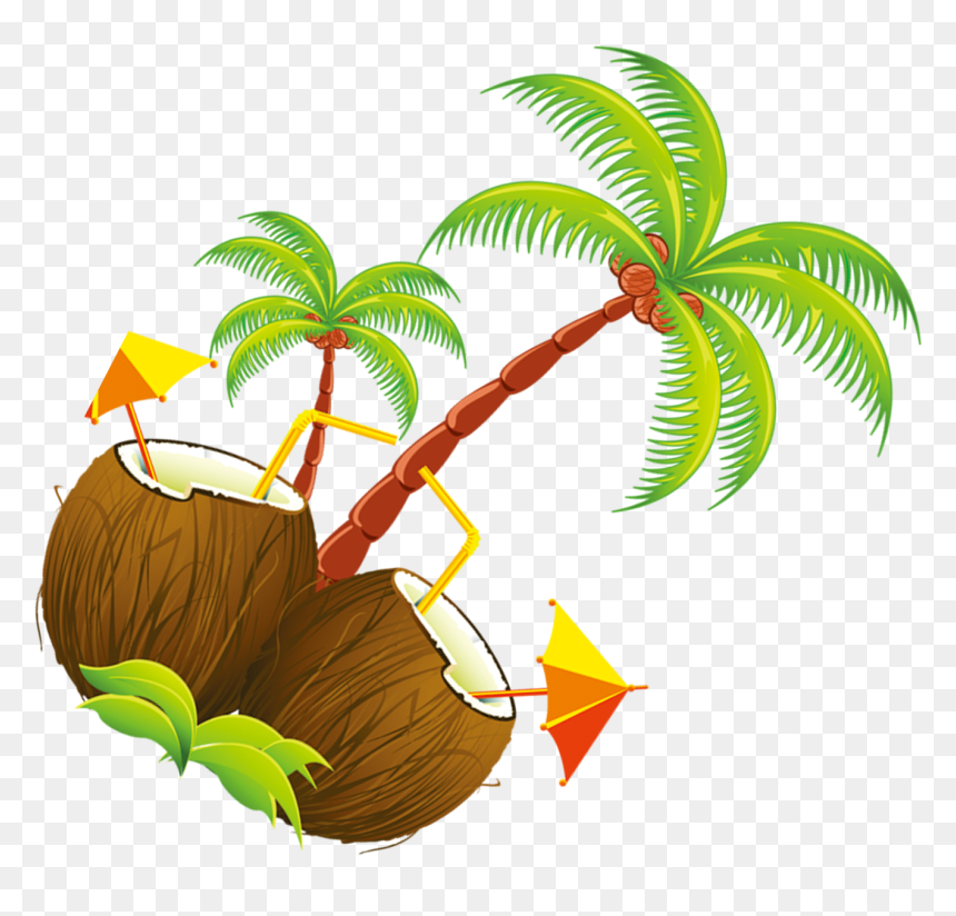 Coconut, HD Png Download - curtain png
