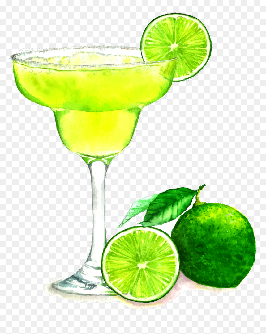Margarita Drawing, HD Png Download - margarita png