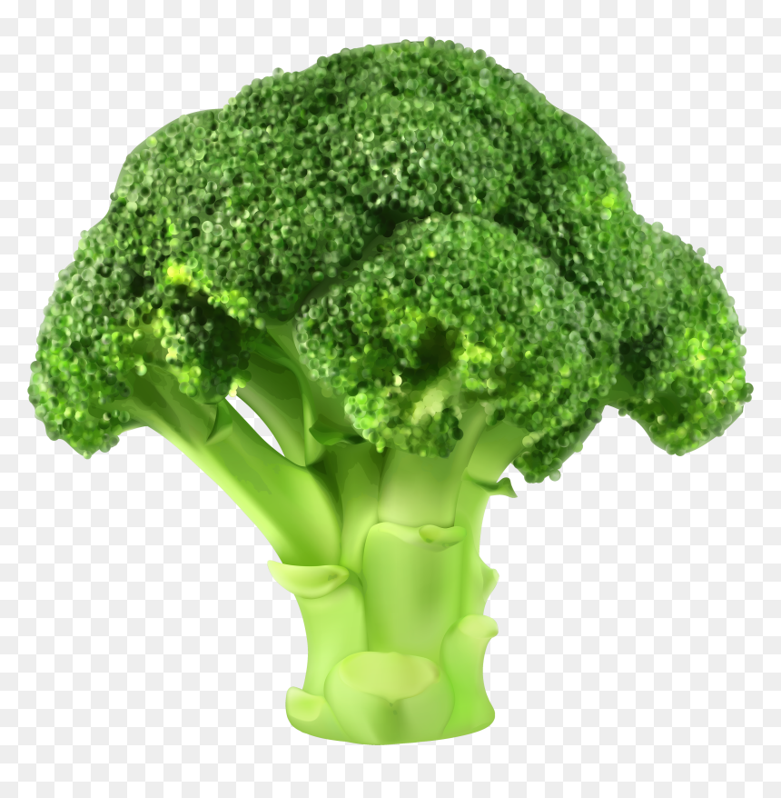 Clipart Broccoli, HD Png Download - vegetables png