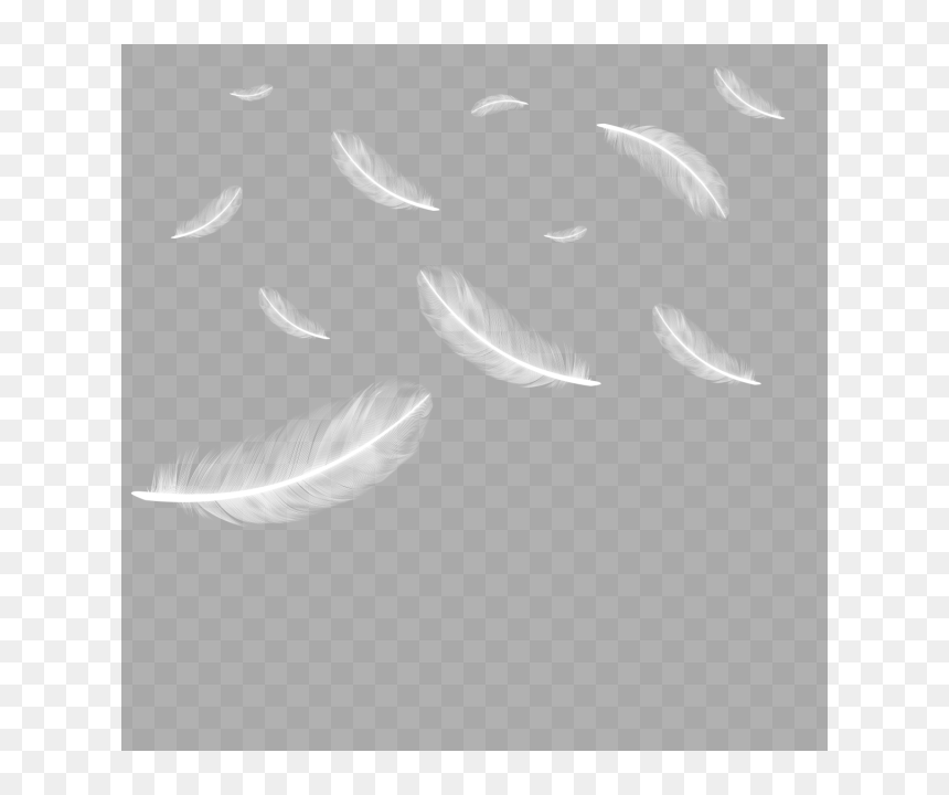 White Feathers Falling Png, Transparent Png - feathers png