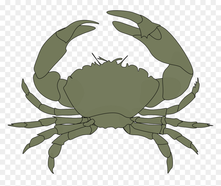 Crab Clipart Black, HD Png Download - crab png
