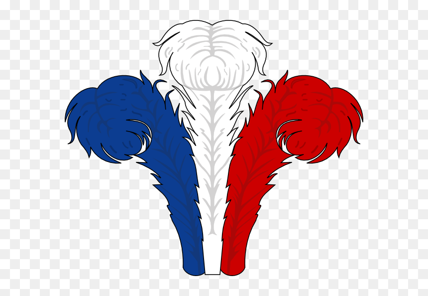 Red White And Blue Feathers, HD Png Download - feathers png