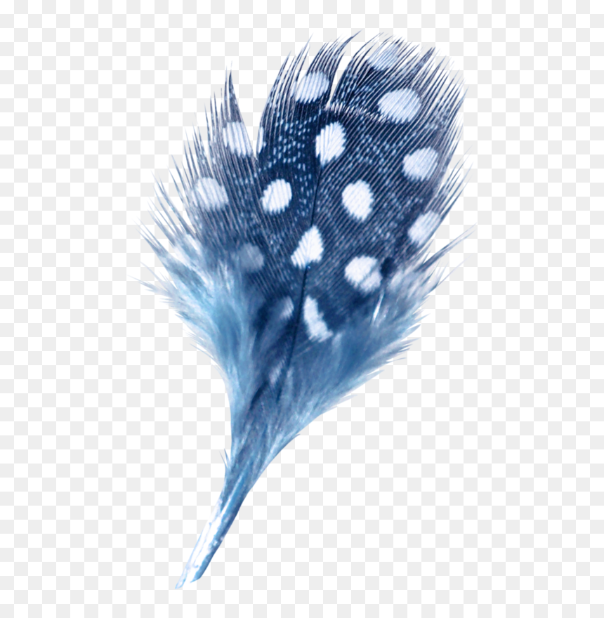 Drawing, HD Png Download - feathers png