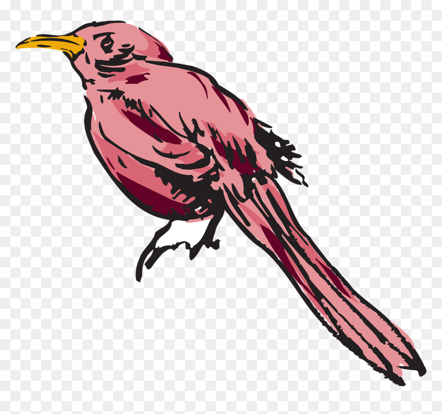 Feather, HD Png Download - feathers png