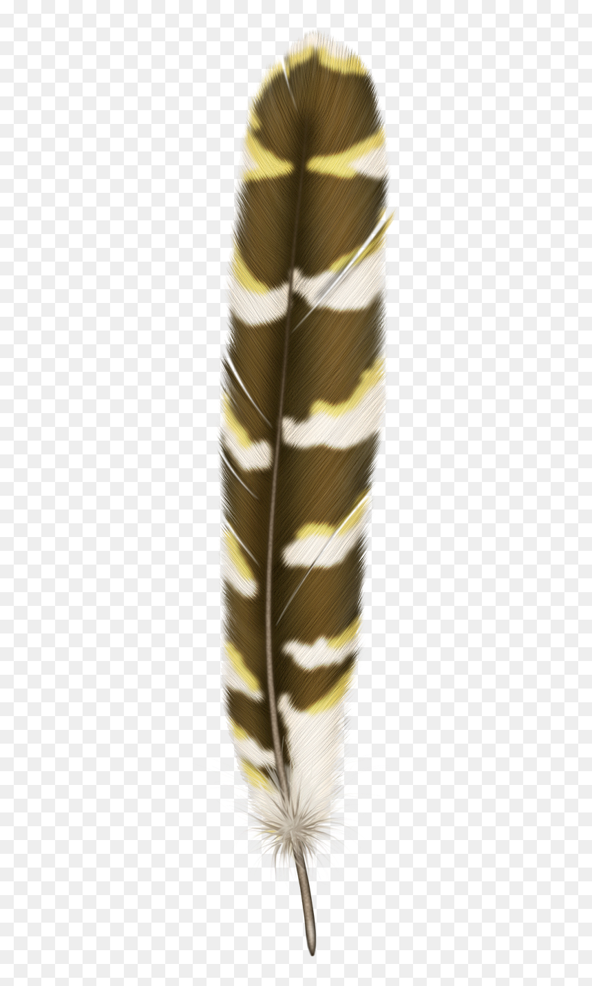 Перо, HD Png Download - feathers png