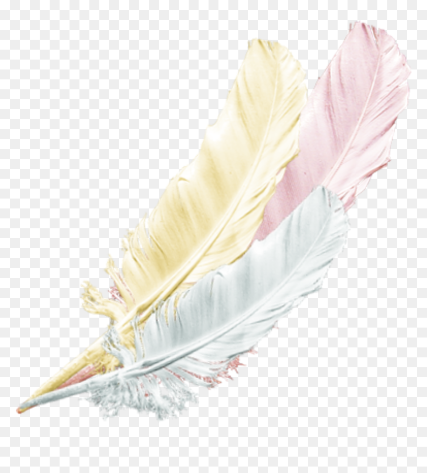 Traditional Sport, HD Png Download - feathers png