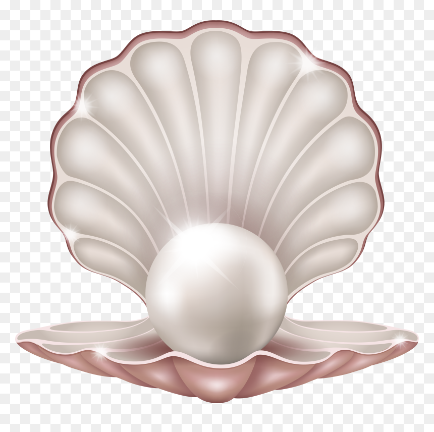Seashell Png, Transparent Png - seashell png
