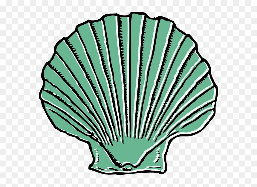 Shell Clipart Black And White, HD Png Download - seashell png