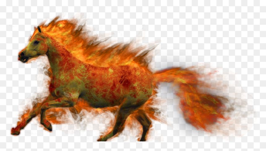 Portable Network Graphics, HD Png Download - fuego png