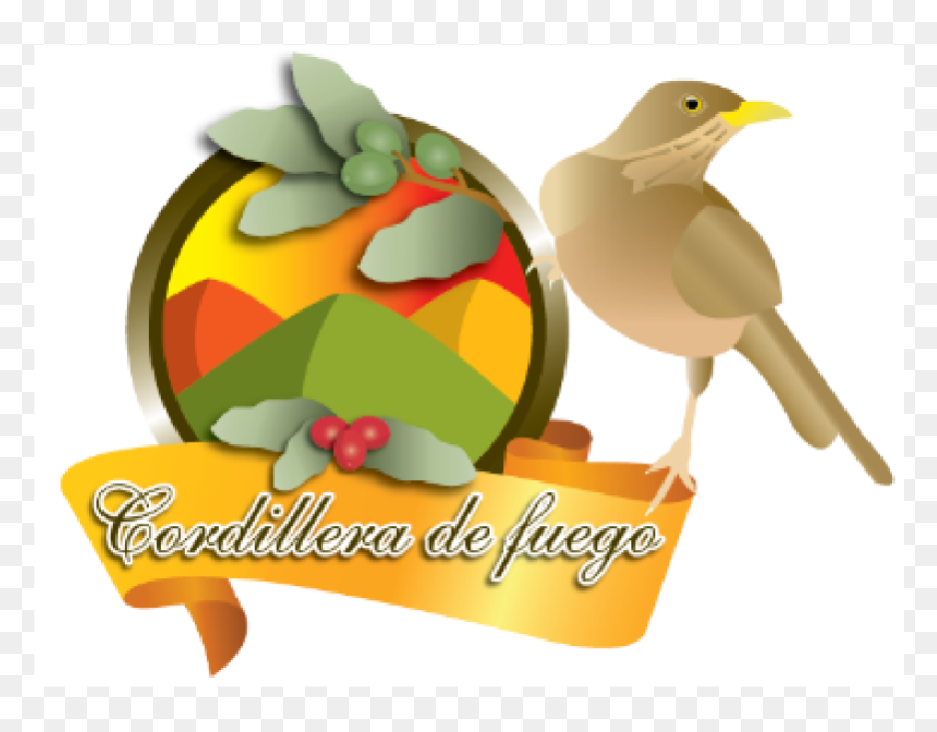 Illustration, HD Png Download - fuego png