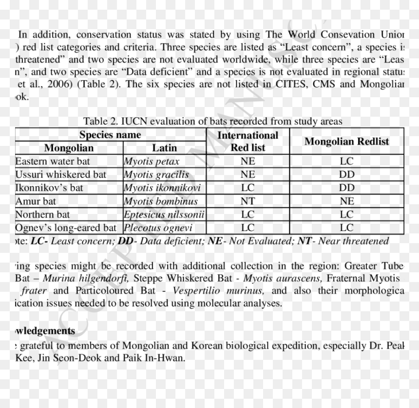 Document, HD Png Download - bats png
