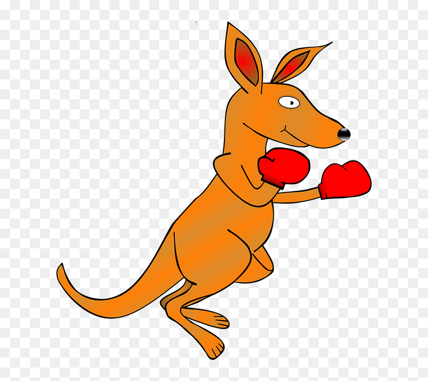 Boxing Kangaroo Clipart Transparent, HD Png Download - boxing gloves png
