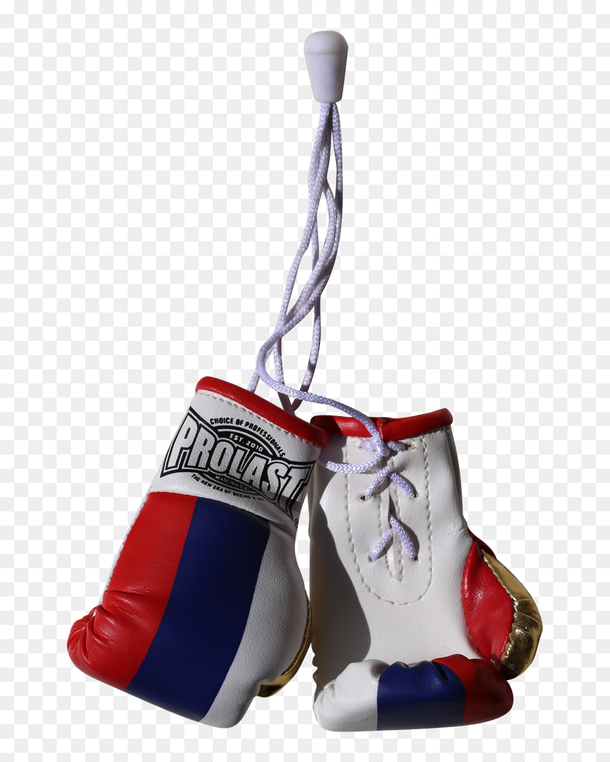 Prolast, HD Png Download - boxing gloves png