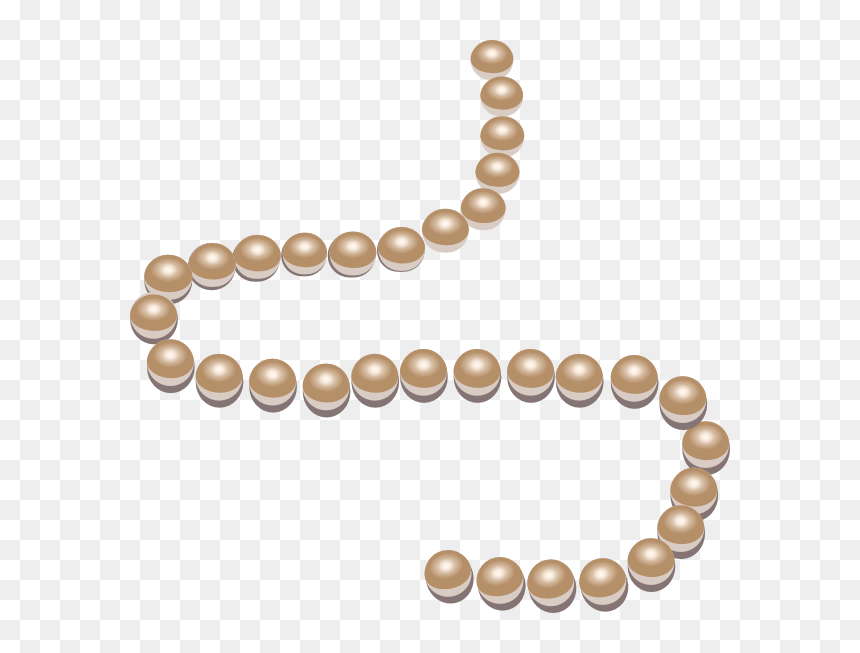 Jewelry Clipart, HD Png Download - pearls png
