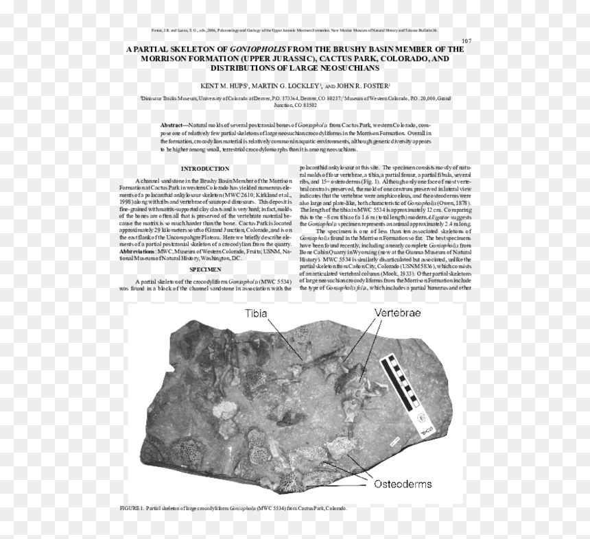 Igneous Rock, HD Png Download - john morrison png