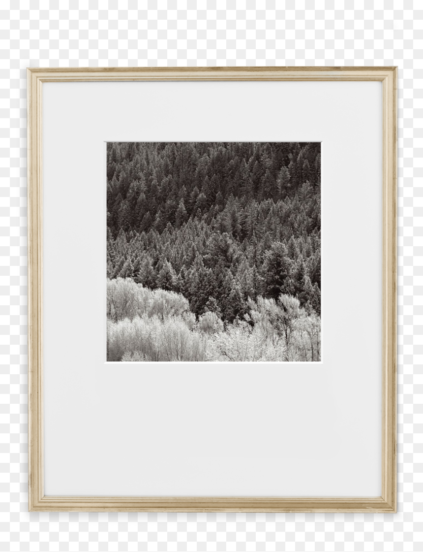 Certificate - Picture Frame, HD Png Download - certificate frame png