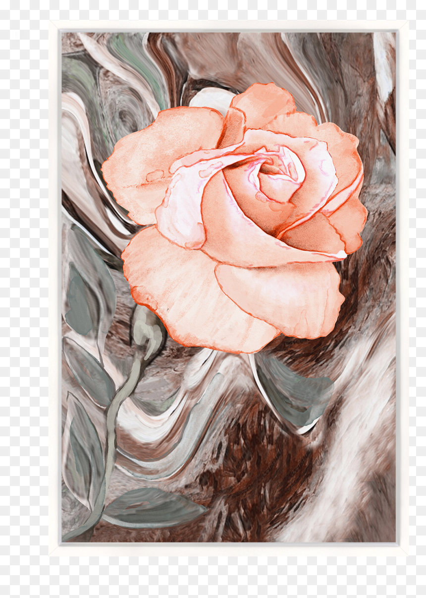 Garden Roses, HD Png Download - painting frame png