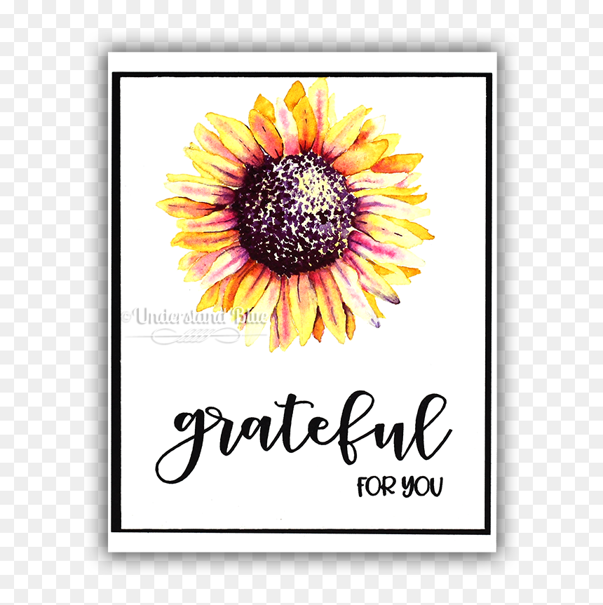 No Line Watercolor Of A Sunflower By Understand Blue - Black-eyed Susan, HD Png Download - watercolor sunflower png