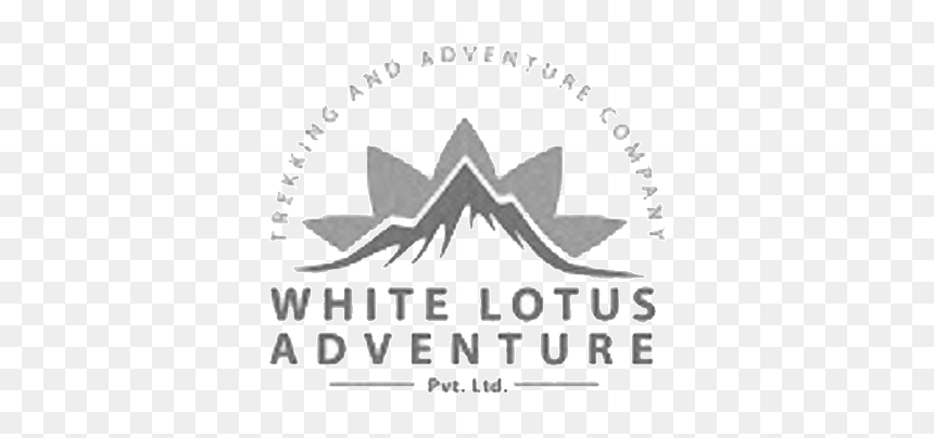 White Lotus Png, Transparent Png - white lotus png